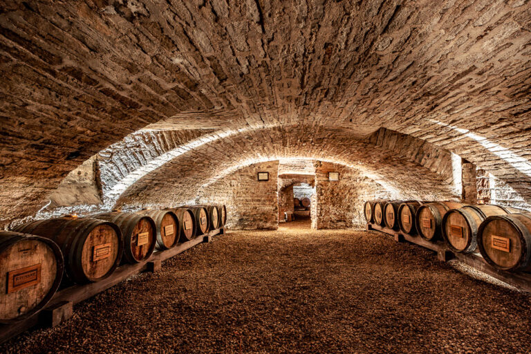 Reportage photo domaine viticole Maison Régnard à Beaune 008