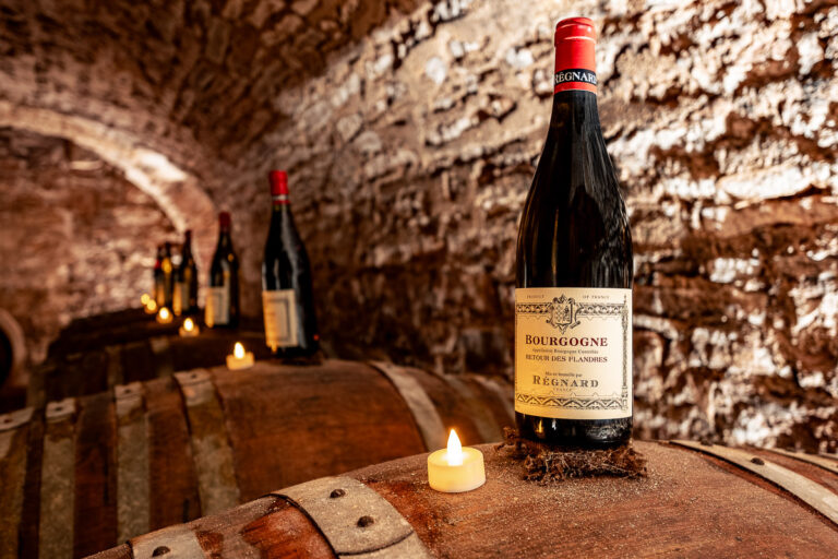 Reportage photo domaine viticole Maison Régnard à Beaune 009