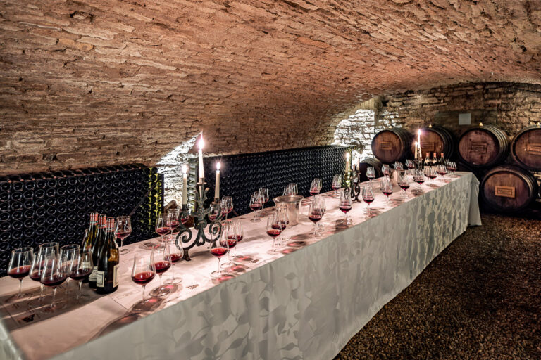 Reportage photo domaine viticole Maison Régnard à Beaune 011