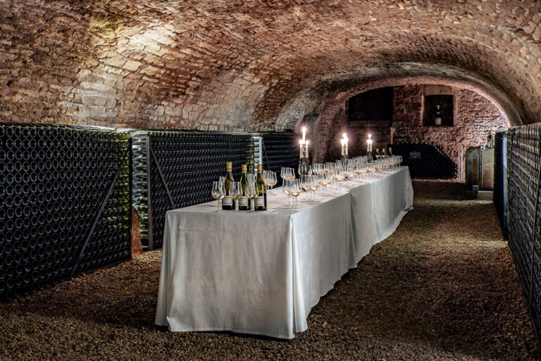 Reportage photo domaine viticole Maison Régnard à Beaune 013