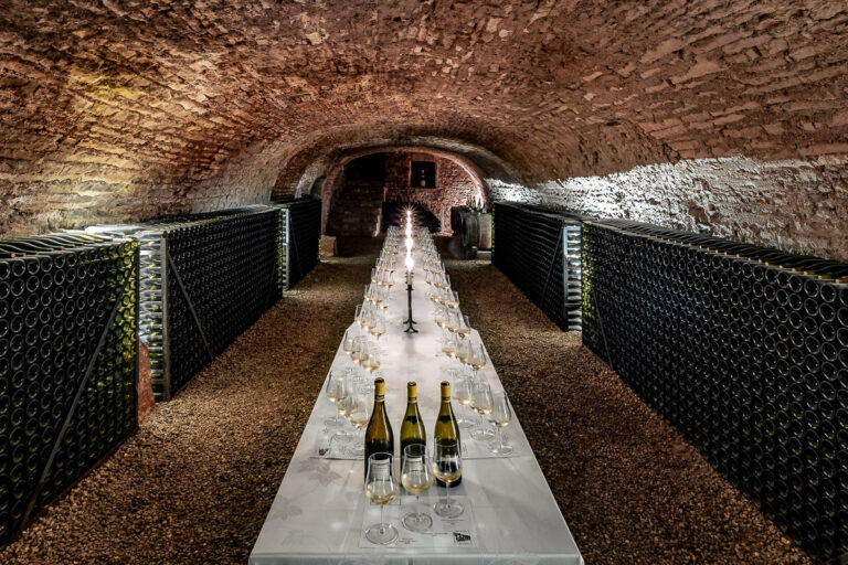 Reportage photo domaine viticole Maison Régnard à Beaune 014