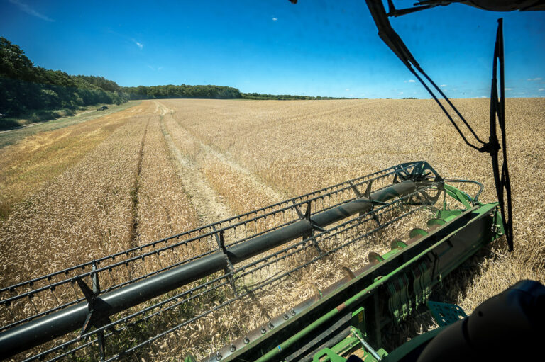 reportage photo domaine et distillerie Rozelieures 018
