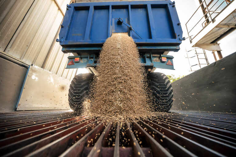 reportage photo domaine et distillerie Rozelieures 021
