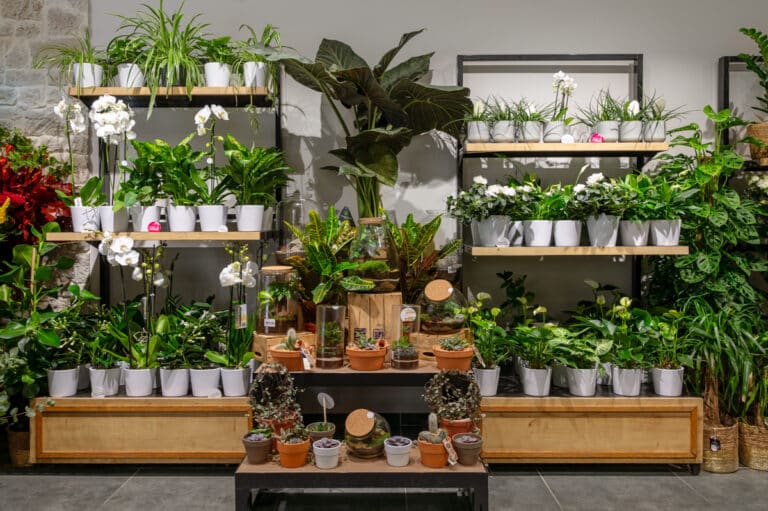 Photographe boutique paris fleuriste Monceau Fleurs à Paris (11)